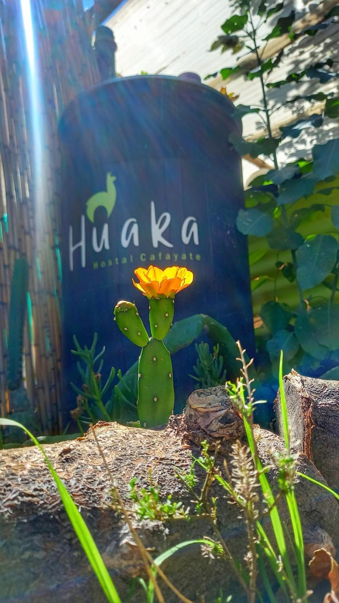 Huaka Hostel And Guest House Cafayate Exteriér fotografie